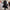 Herren Trenchcoat WW