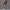Damen Rad-Shorts mit hohem Bund und praktischen Seitentaschen WW