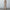Damen elegantes Anzug-Set mit tailliertem Blazer und weit geschnittene Hose W&W