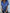 Damen Kurzarm-Seidenbluse mit elegantem Glanz und modischem Revers WW
