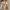 Damen Sportliches Fleece-Cropped-Set WW