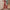 Damen Oversized Jumpsuit mit Puffärmeln und elastischem Taillenbund WW
