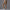 Damen Rad-Shorts mit hohem Bund und praktischen Seitentaschen WW