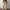 Damen Bequeme Fleece-Hose mit weitem Schnitt WW