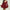 Damen Kurzkleid mit schwingendem Rock und transparenten Ärmeln WW