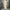 Damen Weite Culotte mit modischen Knopfdetails WW