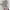 Damen Strickpullover mit modernem Streifenmuster und oversized Schnitt WW