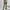 WW – Einfarbige Freizeithose