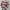 Damen Strickpullover mit strukturiertem Muster WW