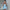 WW | Mini Cocktailkleid Schulterfreies Abendkleid Mit Schleifendetail