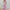 Damen Maxikleid mit floralem Design WW
