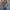 Damen Strickjacke mit floralen Applikationen und perlverzierter Detail WW