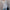Damen Strickjacke mit offener Front und praktischen Seitentaschen WW