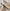 Damen bequeme Slip-On Sneakers mit atmungsaktivem Obermaterial und flexibler Sohle WW