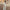 Damen sportliches und elegantes Sweatset mit hohem Kragen und weit geschnittenen Hosen WW