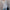 Damen Strickjacke mit offenem Schnitt und seitlichen Taschen WW