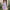WW | V-Ausschnitt Träger Abendkleid Mesh Bestickter Rücken Freie Elegante Abendkleid Tanzkleid Festkleid Brautjungfernkleid