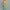 Damen Maxikleid mit Cut-Out-Details und Plisseefalten WW