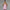 WW | Mini Cocktailkleid Schulterfreies Abendkleid Mit Schleifendetail