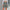 Damen Freizeit-Shorts mit stylischem Camouflage-Muster und elastischem Bund WW