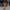 Damen sportliches Set mit cropped Jacke und weiten Hosen WW