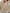Damen Strickjacke mit romantischem Zopfmuster WW