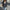 Damen Strickjacke mit Rippstruktur und Knopfverschluss WW