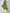 Damen Bequemer Oversized Pullover aus hochwertigem Strick WW