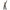 Damen Baumwoll-Loungewear-Set mit Leoparden-Design WW