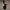 WW | Elegantes Samtabendkleid