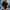 Damen Bluse mit eleganten Falten und dekorativem Rundhalsausschnitt WW
