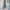 Damen Oversized Jumpsuit mit Puffärmeln und elastischem Taillenbund WW
