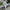 Damen bequeme und stilvolle Poloshirt-Hose Kombination WW