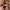 Damen Sportliches Bikini-Set mit hoch geschnittenem Unterteil und sportlichem Oberteil WW