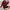 Damen bequemer Oversized Pullover mit strukturiertem Design WW