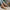 Rosin™ - Orthopädische Ballettschuhe für Frauen