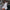 WW Ripped O Neck Oversized Sweater Kleid