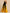 Damen Abendkleid mit asymmetrischem Schnitt WW