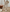 WW | Premium Entspannte Leinenhose