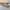 Loafers aus Wildleder