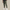 WW | Stilvolle Herren Cargohose