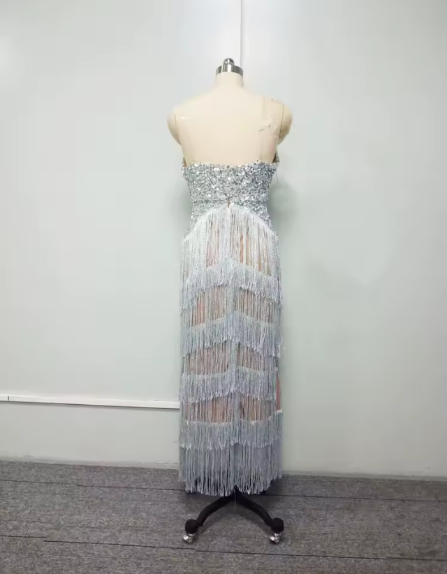Damen Abendkleid mit funkelnden Fransen und figurbetonter Silhouette WW