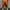 WW | Sportliche Kordelzug Sommershorts Für Herren