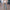 Verboten Flare Hose