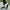 WW | Orthoshoes Easywalk Pro Ergonomischer Schmerzlindernder Schuh
