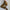 WW | Gerippte Hose mit Hoher Taille