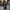 WW - mit Schleifendetail - Polyester - Sommer