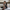 WW - mit Schleifendetail - Polyester - Sommer