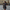 WW - mit Schleifendetail - Polyester - Sommer