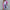 WW | Klassische Strickjacke | Zeitlose Eleganz und Komfort